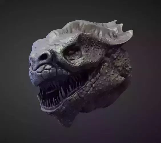HEAD43 high poly sculpt 3D model