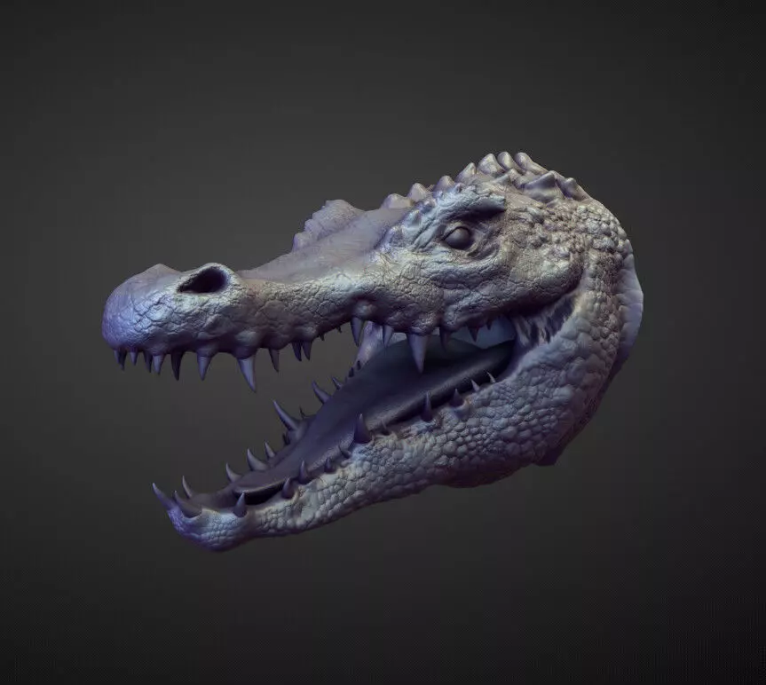 HEAD44 high poly sculpt 3D model_0