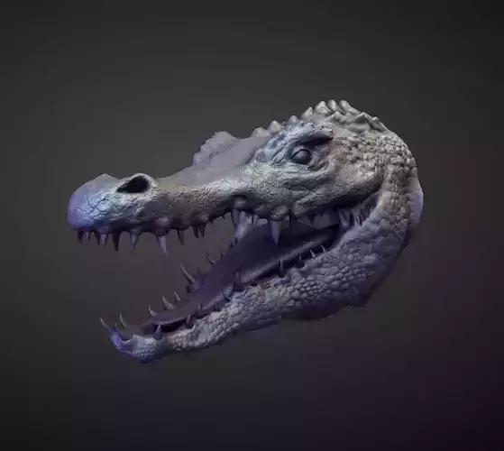 HEAD44 high poly sculpt 3D model