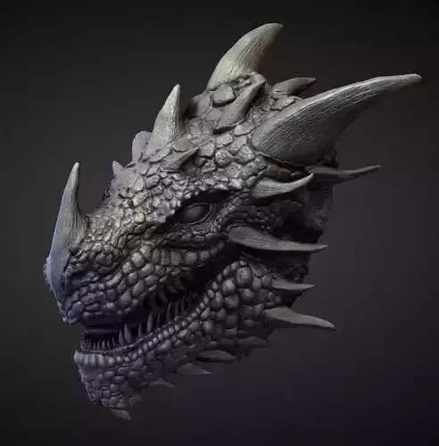 HEAD5 high poly sculpt 3D model