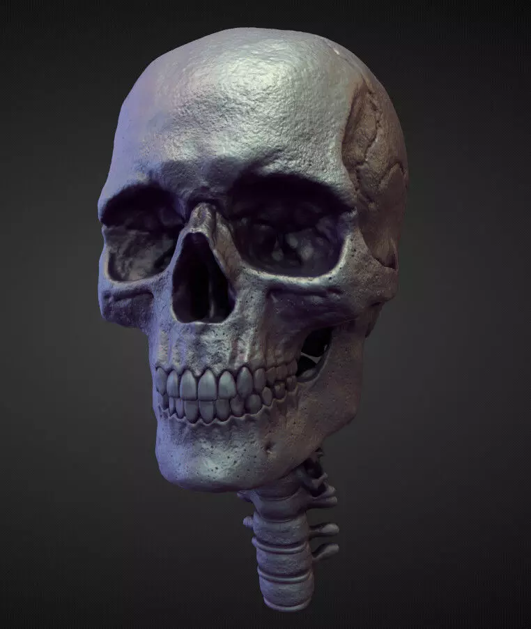 HEAD8 high poly sculpt 3D model_0