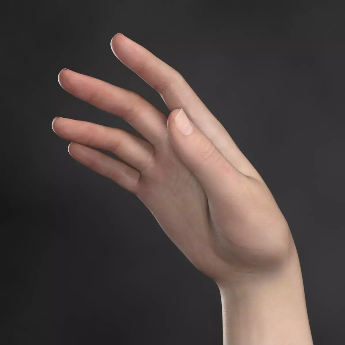 Blanka 9 V3 Pro Textures for Genesis 9 Texture_20