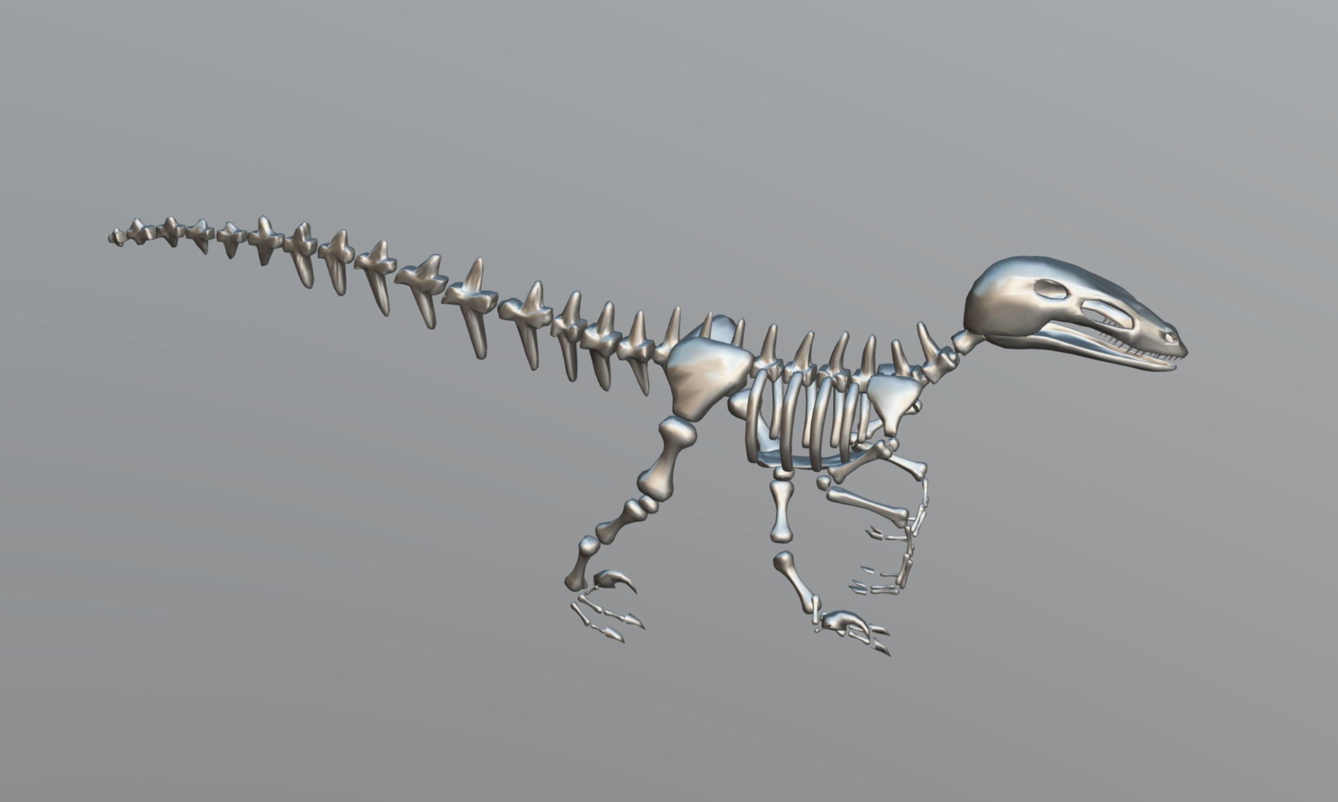 Dinosaur Skeleton Low-poly 3D model_11
