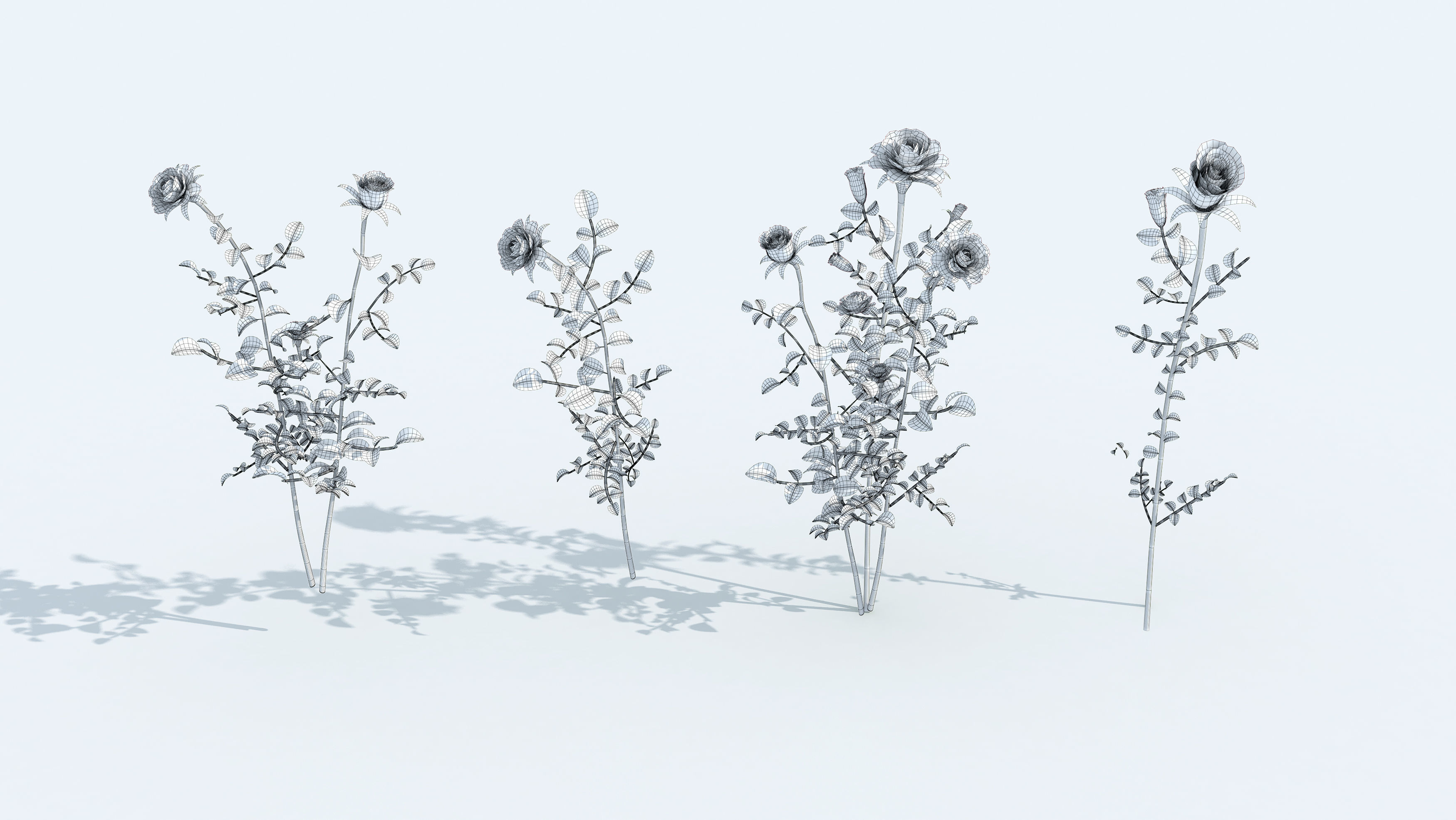 Realistic rose 3D model two roses 3D model_1