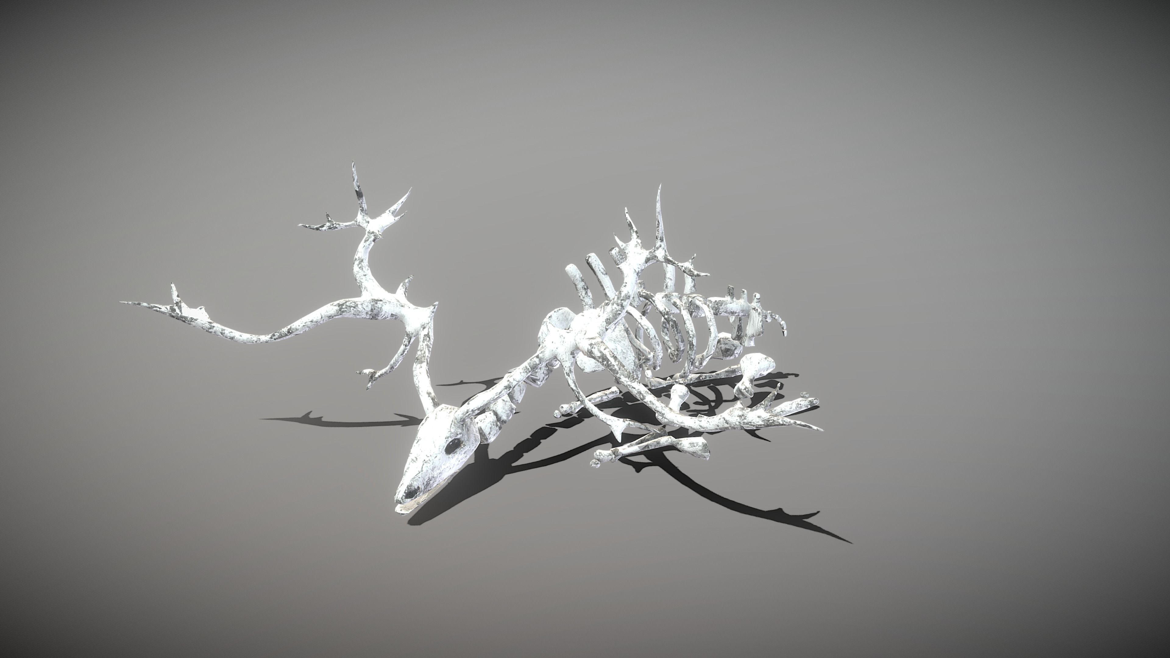Elk Skeleton Low-poly 3D model_9