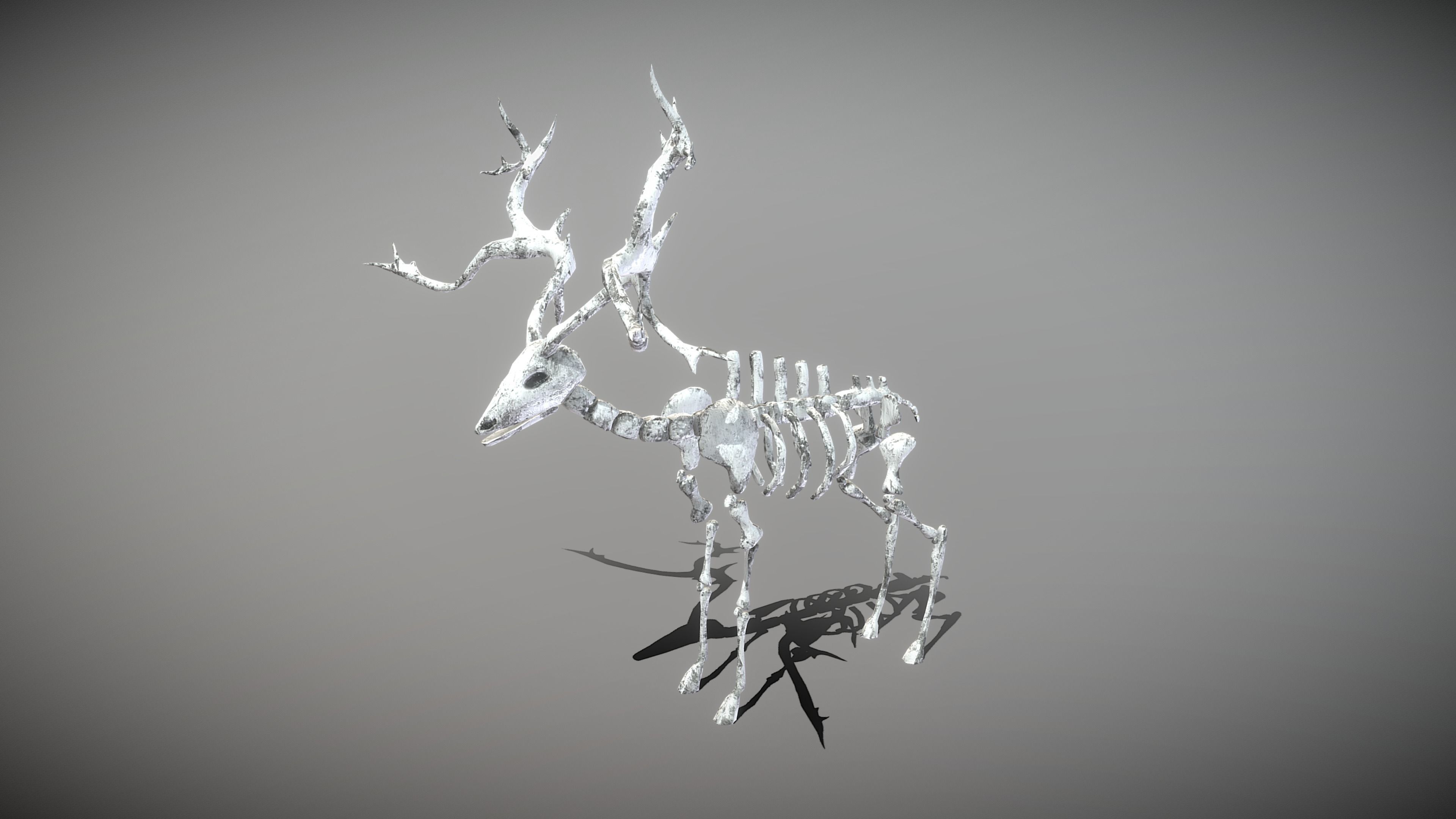 Elk Skeleton Low-poly 3D model_8