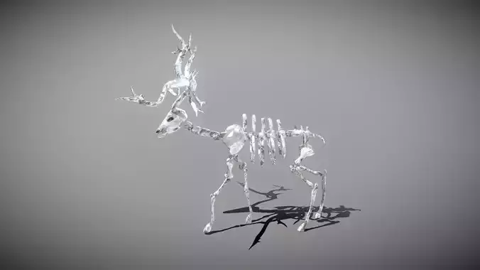Elk Skeleton Low-poly 3D model