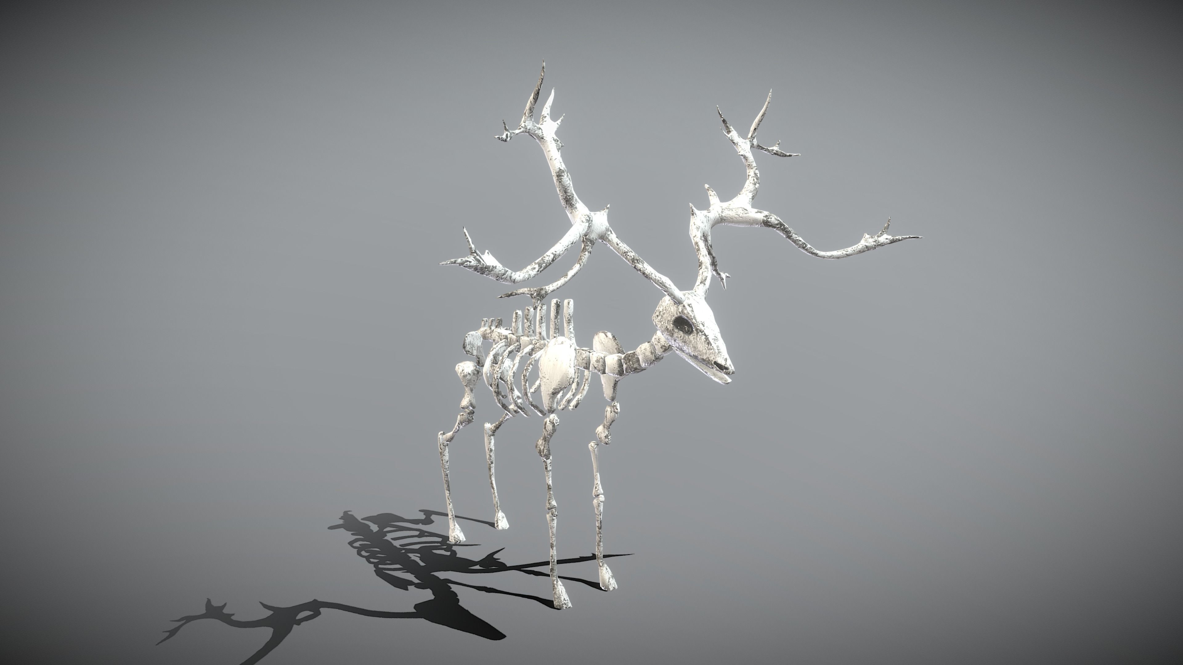 Elk Skeleton Low-poly 3D model_7