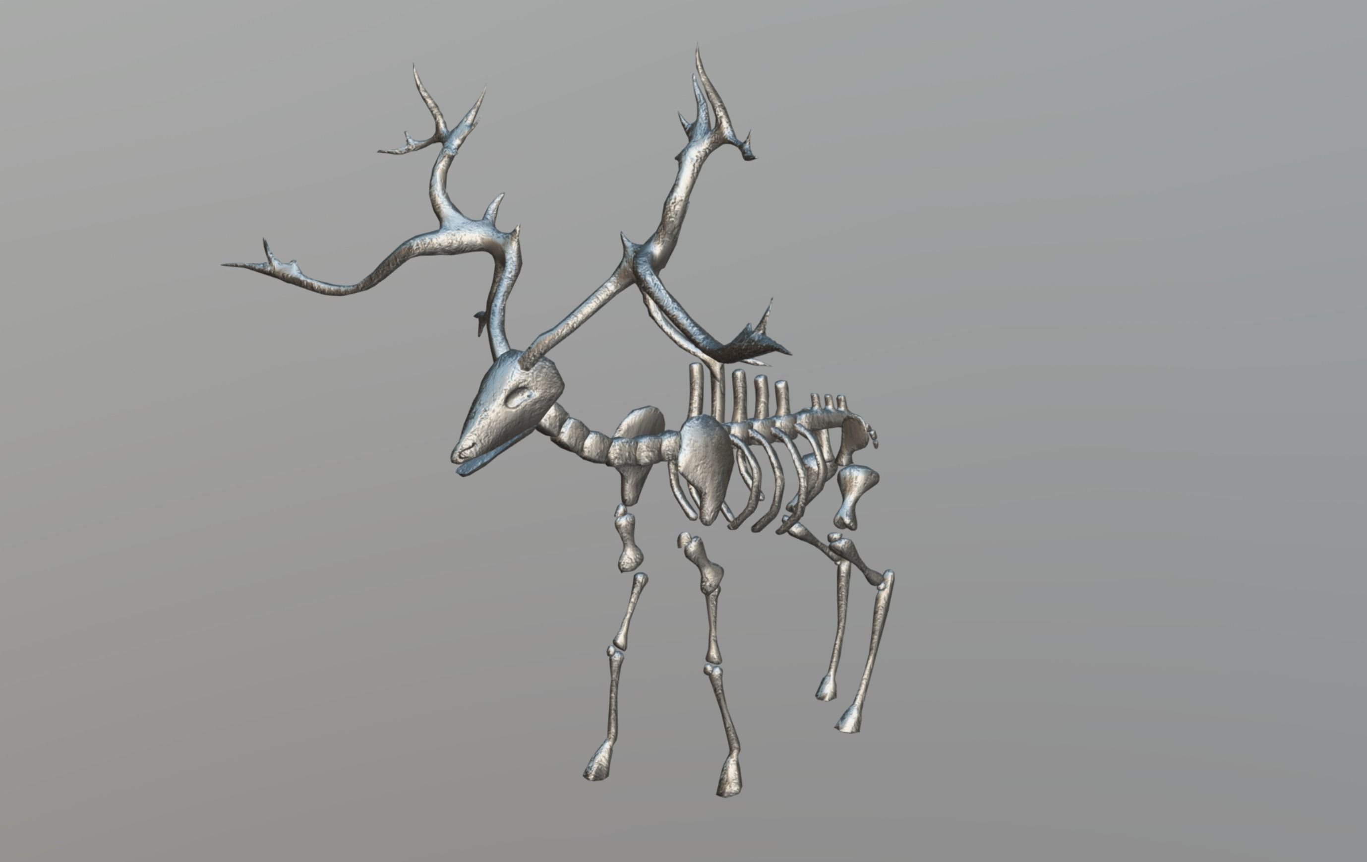 Elk Skeleton Low-poly 3D model_14