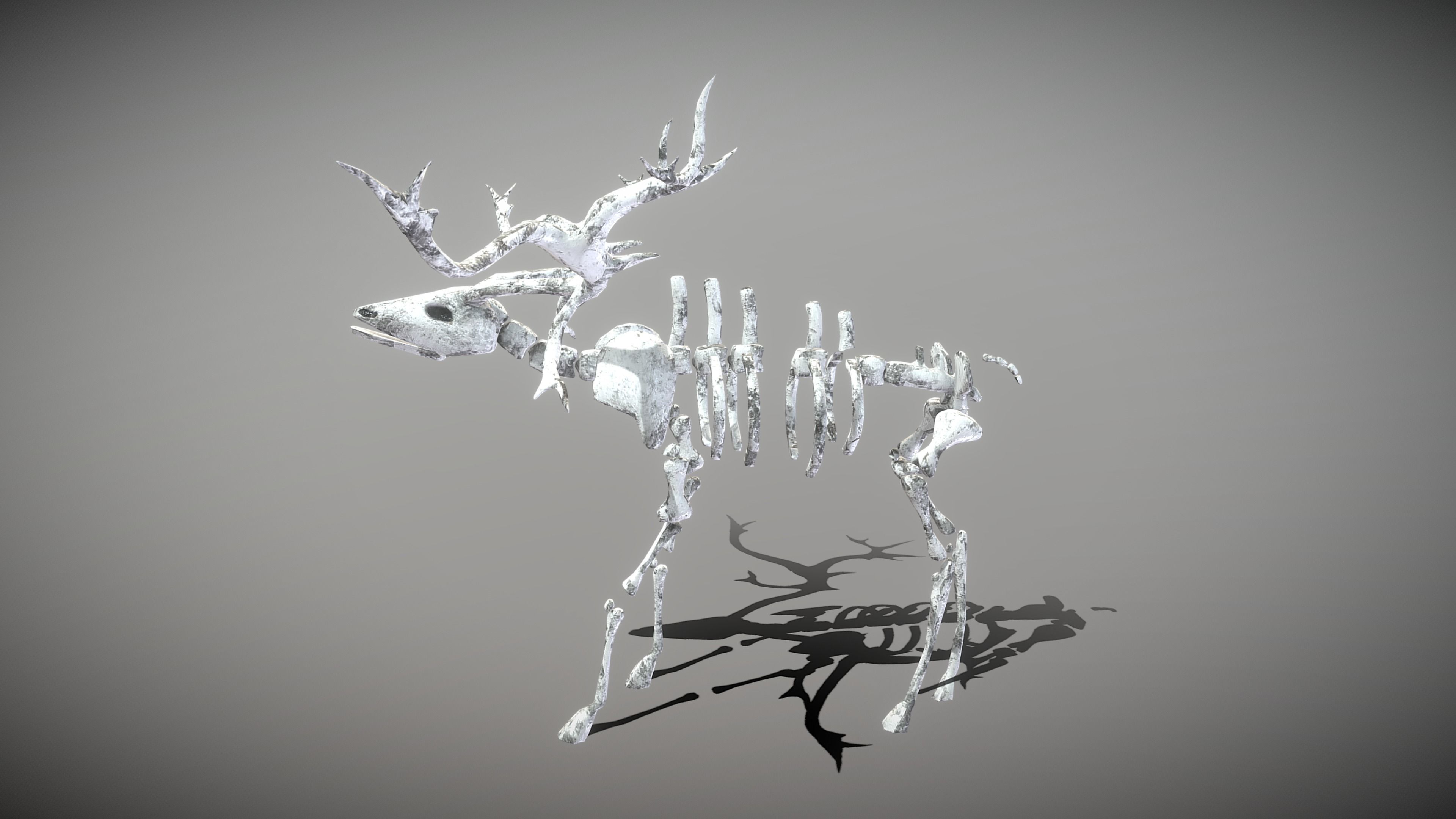 Elk Skeleton Low-poly 3D model_10