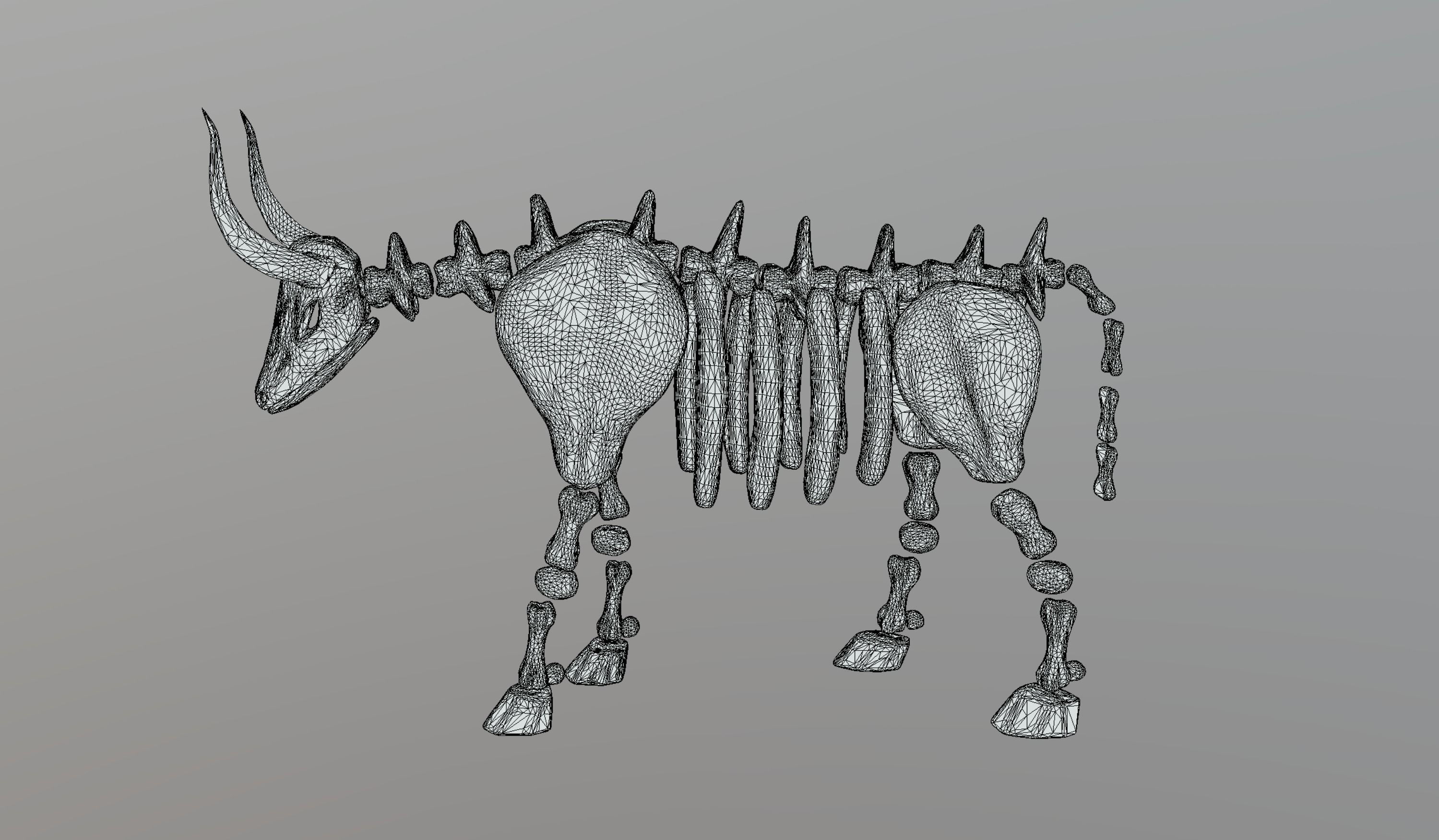 Bull Skeleton Low-poly 3D model_13