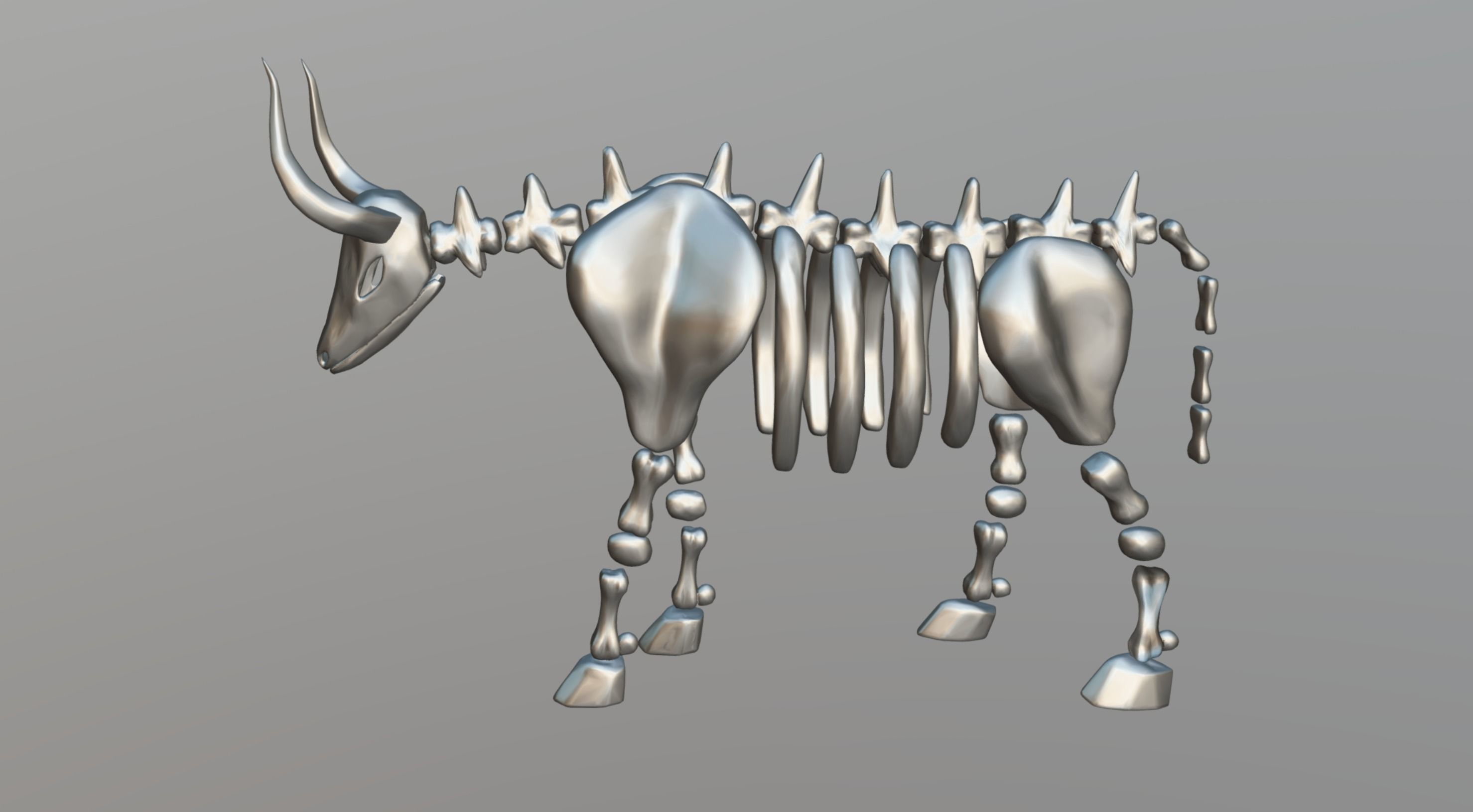Bull Skeleton Low-poly 3D model_14