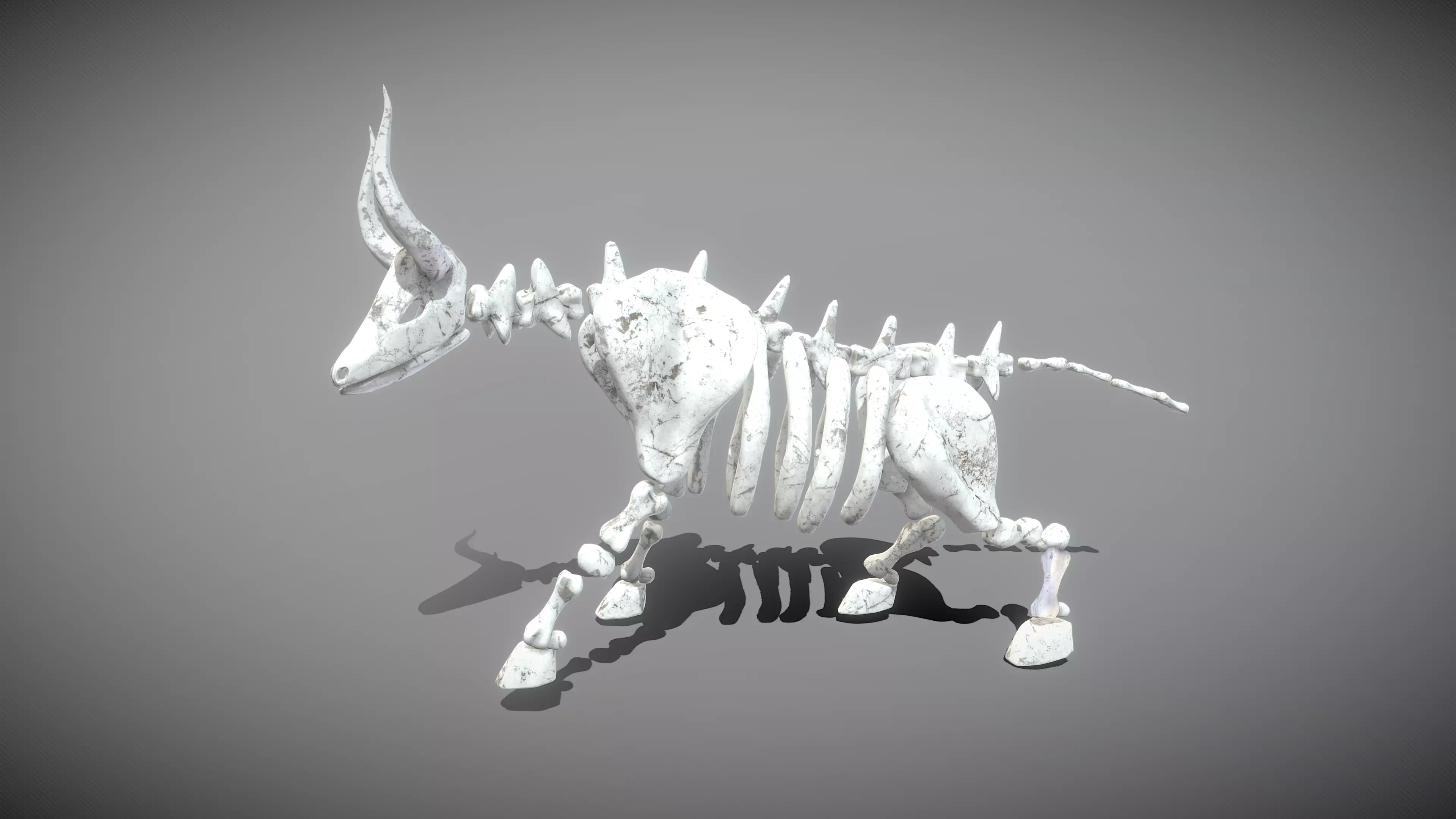 Bull Skeleton Low-poly 3D model_0