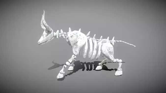 Bull Skeleton Low-poly 3D model