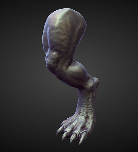 LEG17 high poly sculpt 3D model