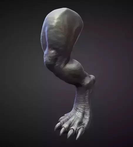LEG17 high poly sculpt 3D model
