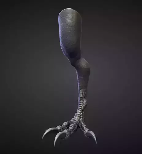 LEG19 high poly sculpt 3D model