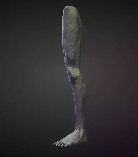 LEG21 high poly sculpt 3D model