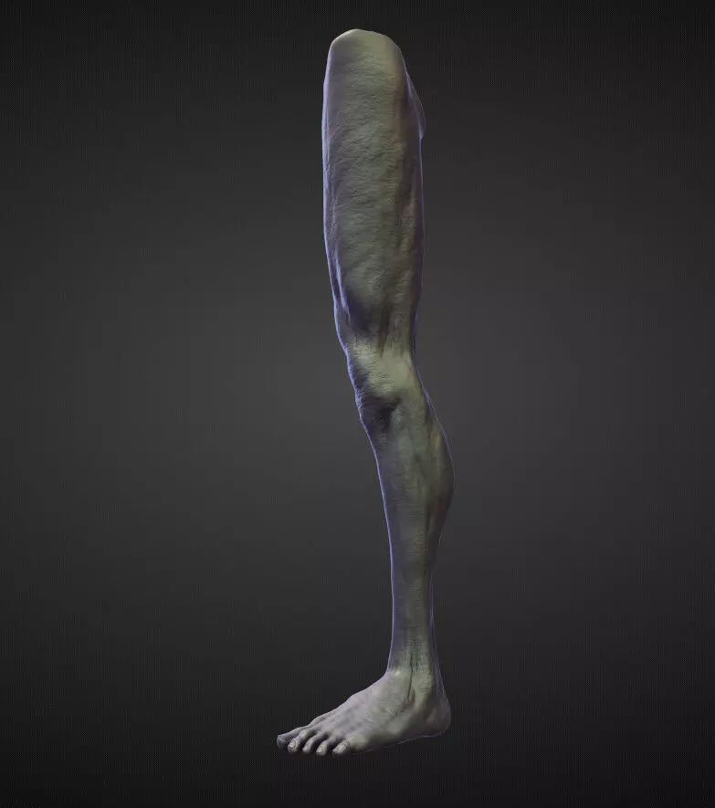LEG21 high poly sculpt 3D model_0
