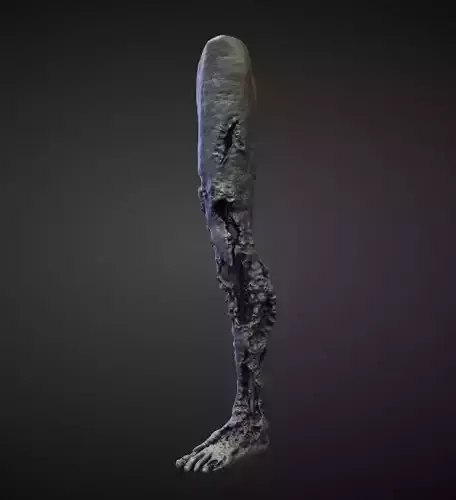 LEG24 high poly sculpt 3D model
