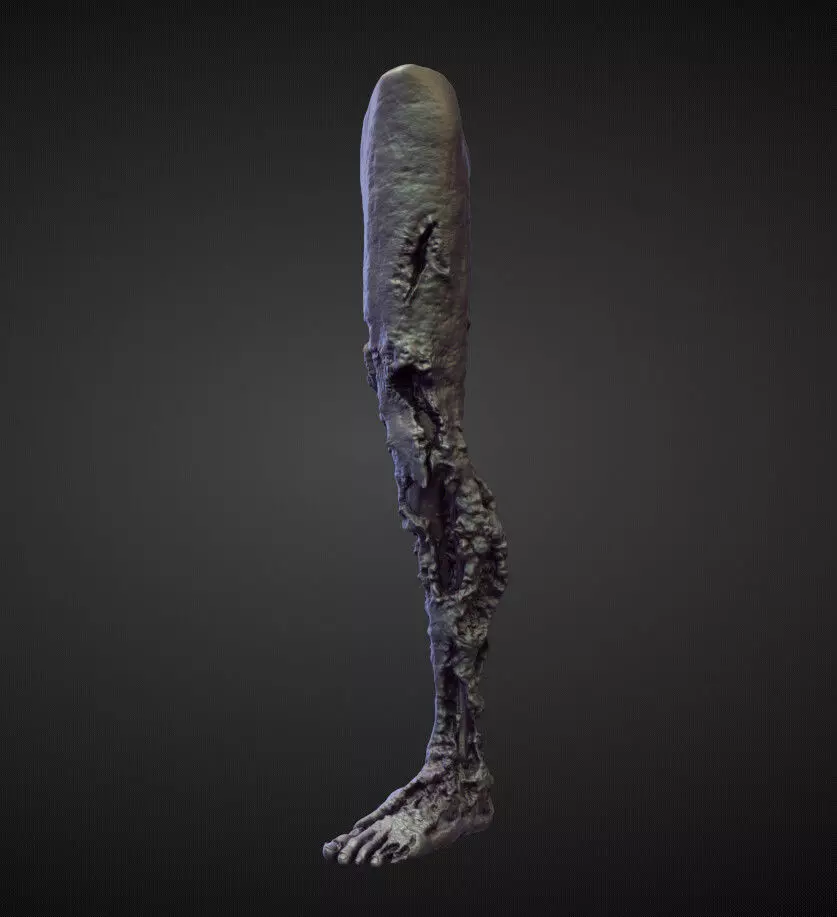 LEG24 high poly sculpt 3D model_0