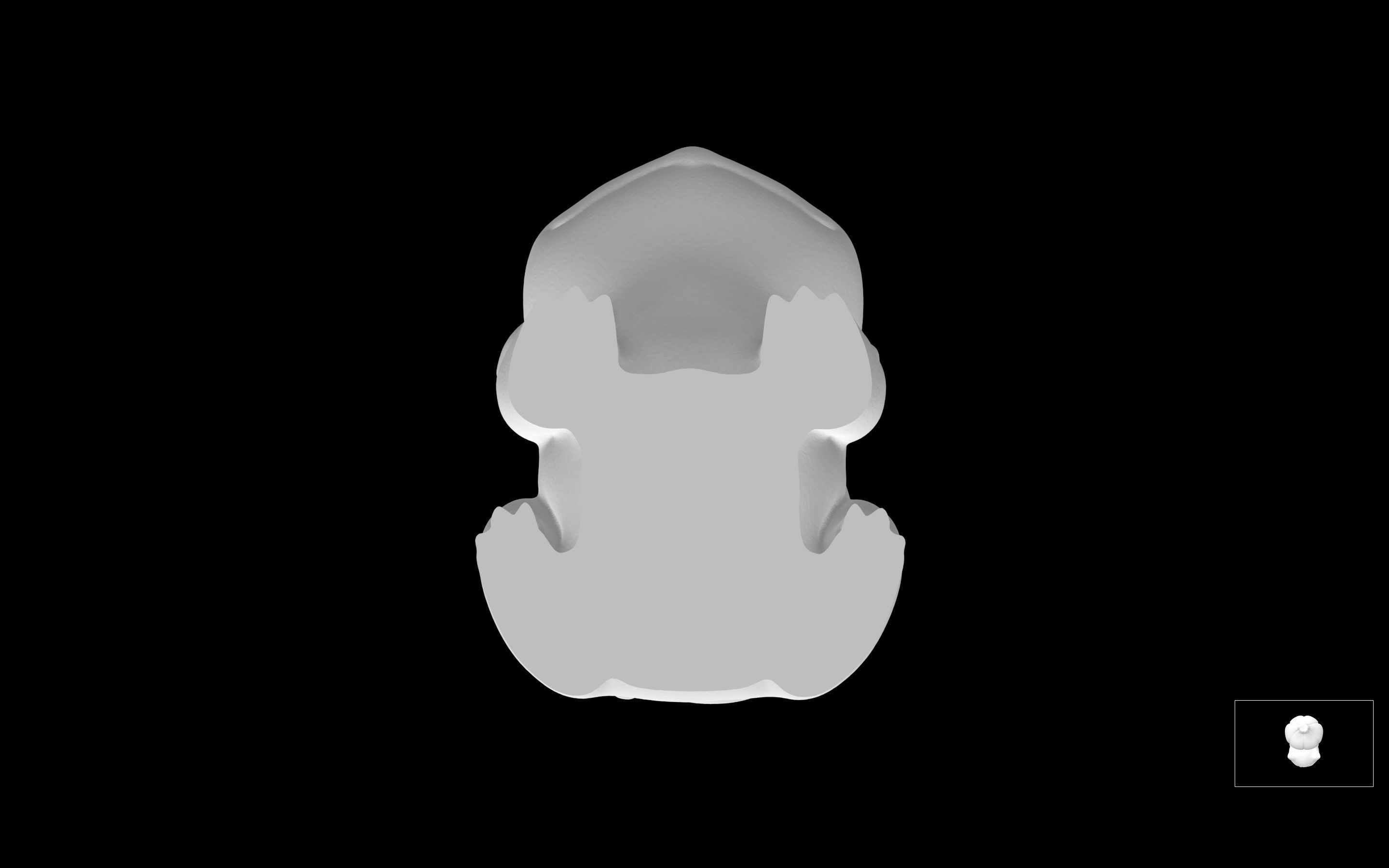 Pokemon Bulbasaur  3D model_5