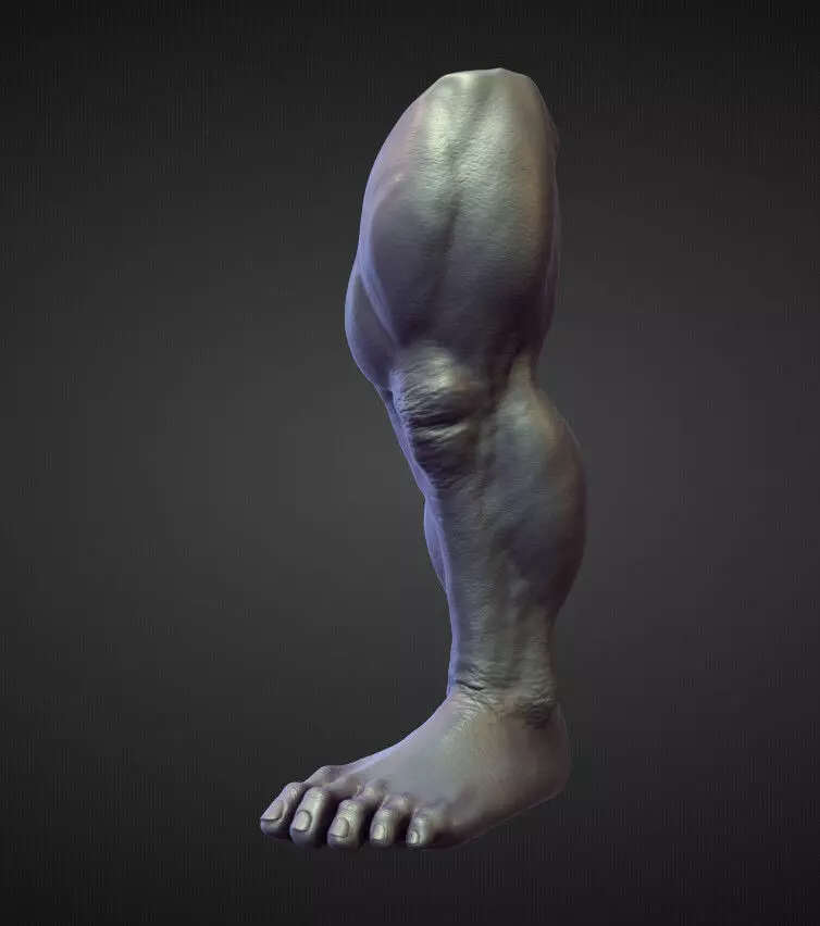 LEG26 high poly sculpt 3D model_0