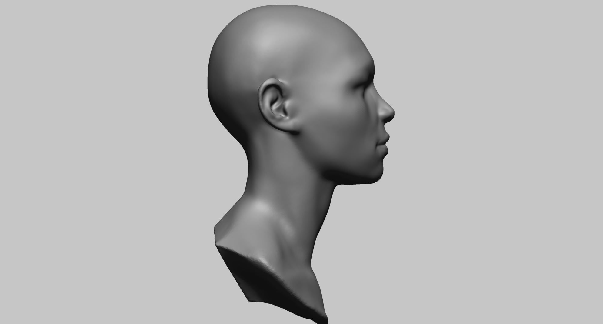 Base Female Head A 3D model_2