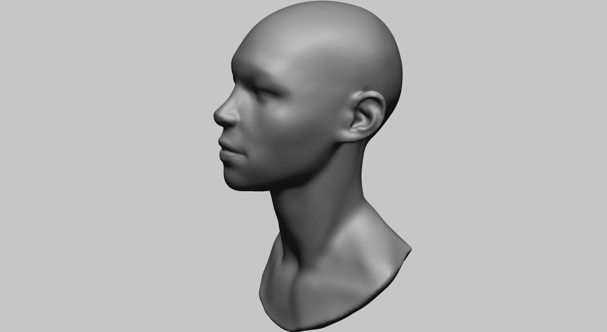 Base Female Head A 3D model_5