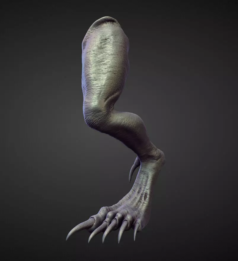LEG4 high poly sculpt 3D model_0