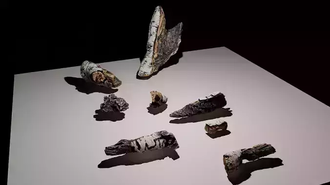 Birch Logs for display in fireplace or scene 3D model