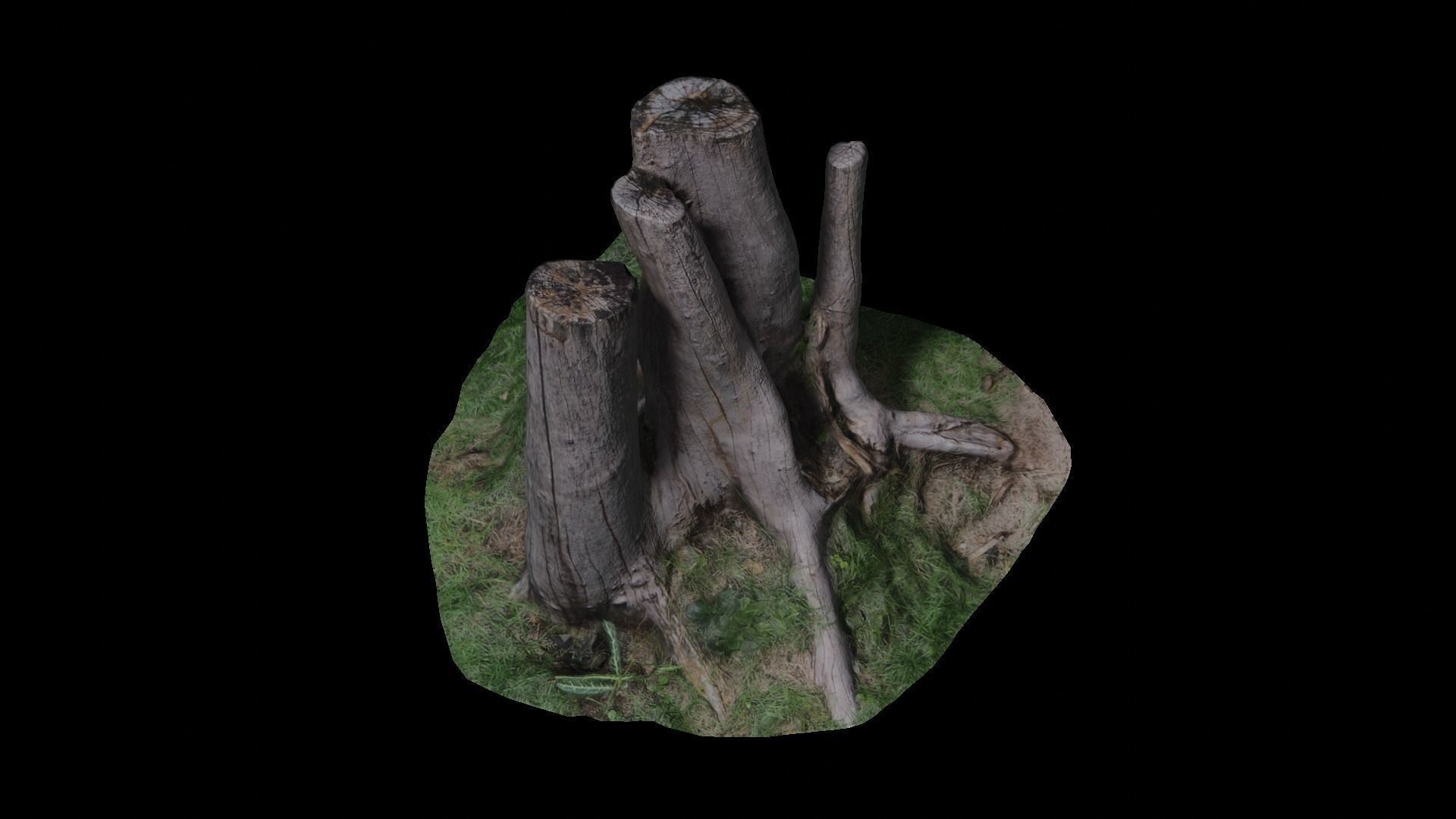 3D scan stump  Low-poly 3D model_3