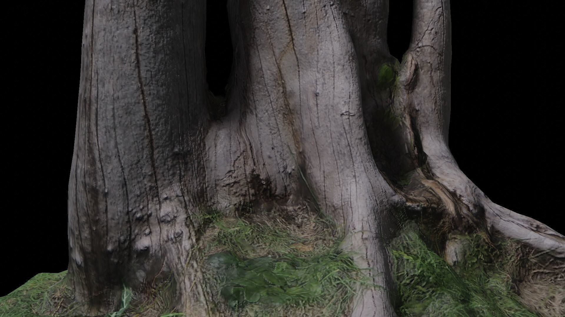 3D scan stump  Low-poly 3D model_6