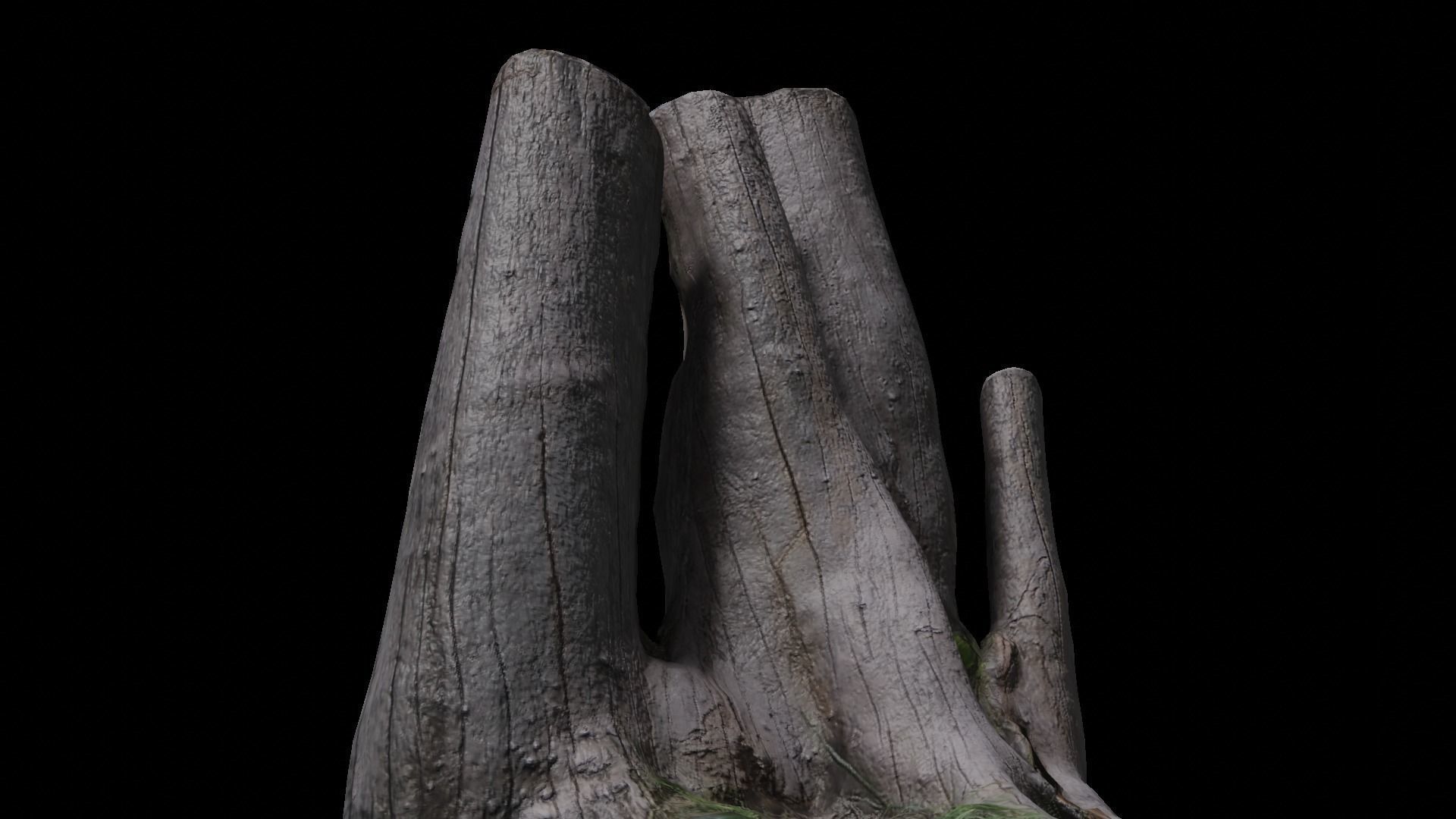 3D scan stump  Low-poly 3D model_5
