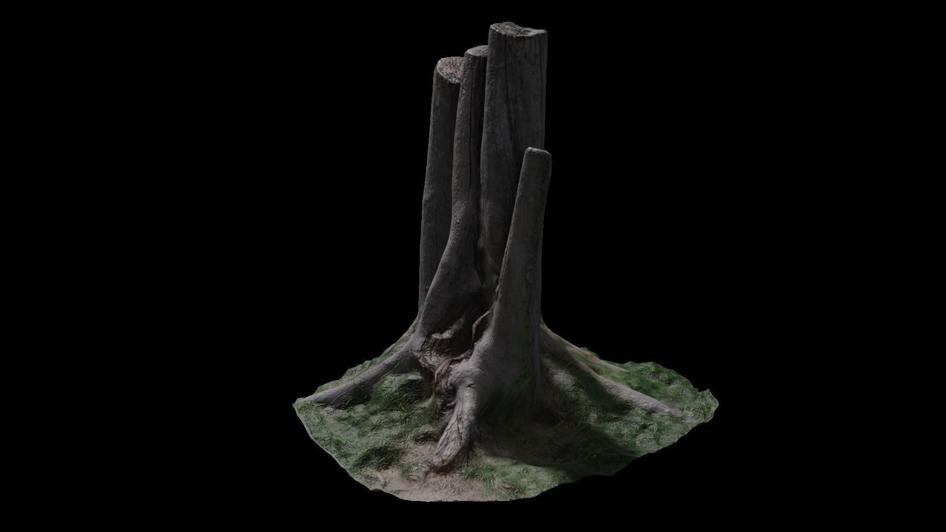 3D scan stump  Low-poly 3D model_2