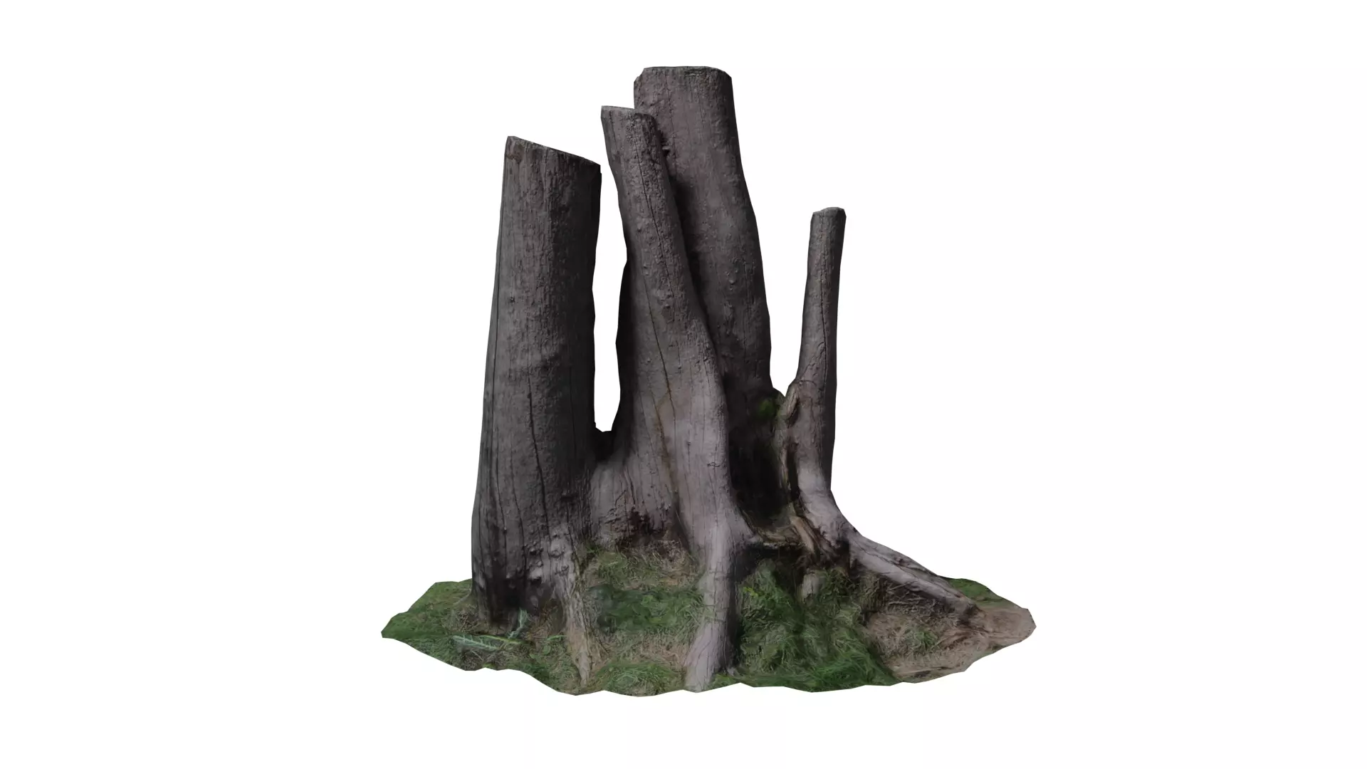 3D scan stump  Low-poly 3D model_0