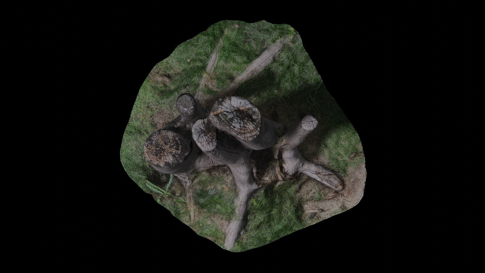 3D scan stump  Low-poly 3D model_4