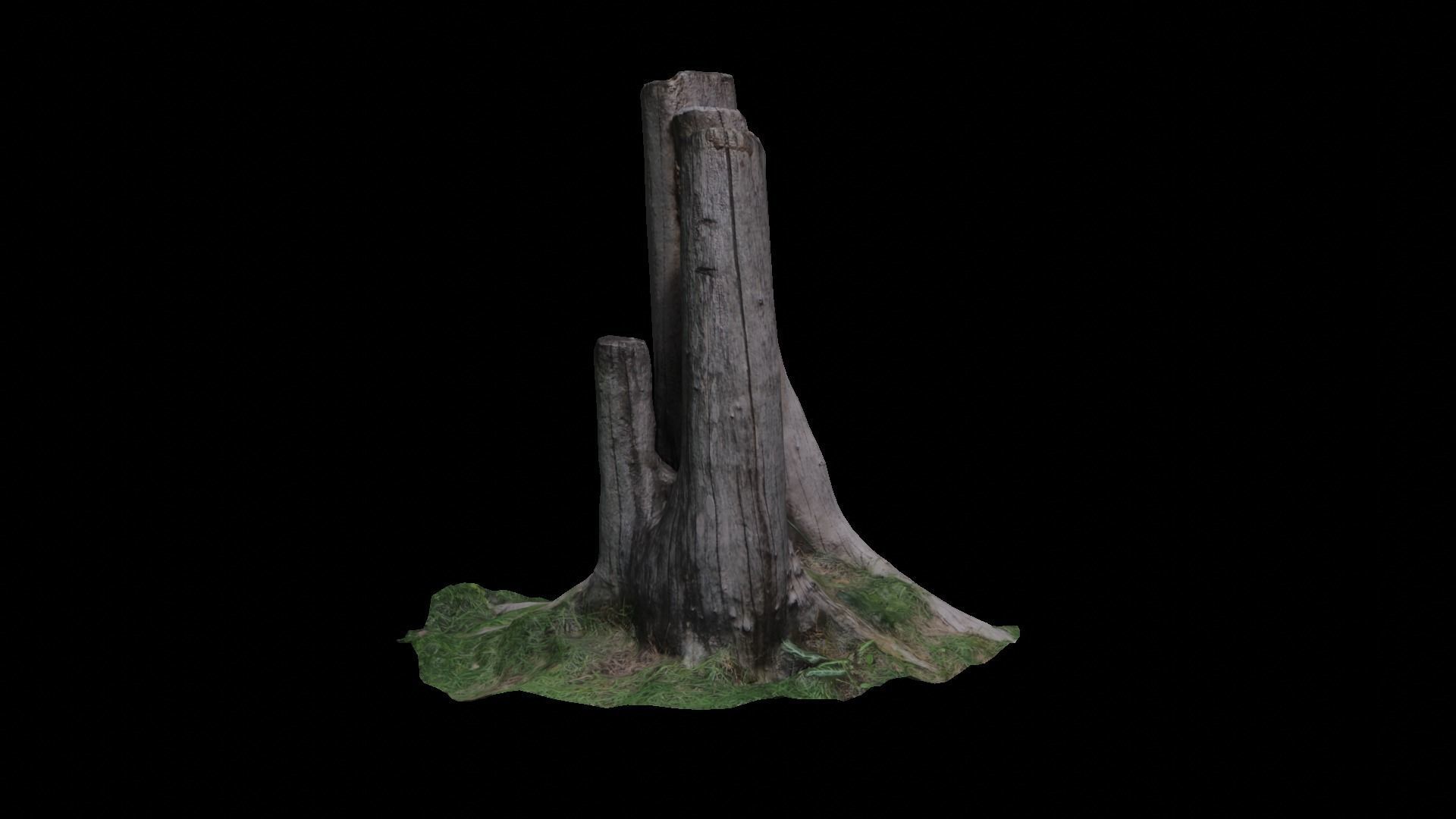 3D scan stump  Low-poly 3D model_1
