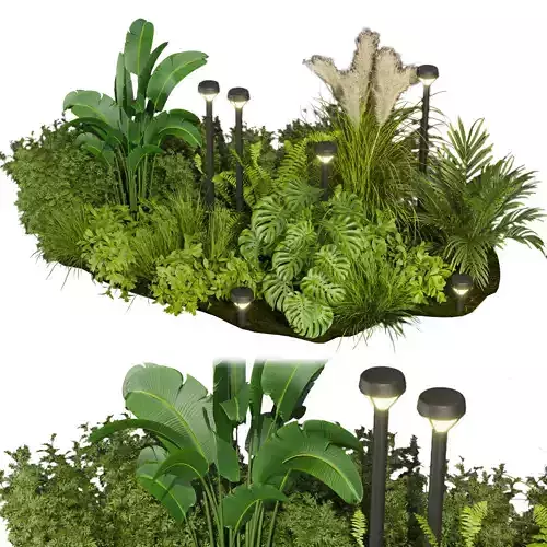 Collection plant vol 409 - leaf - outdoor - garden 3D model