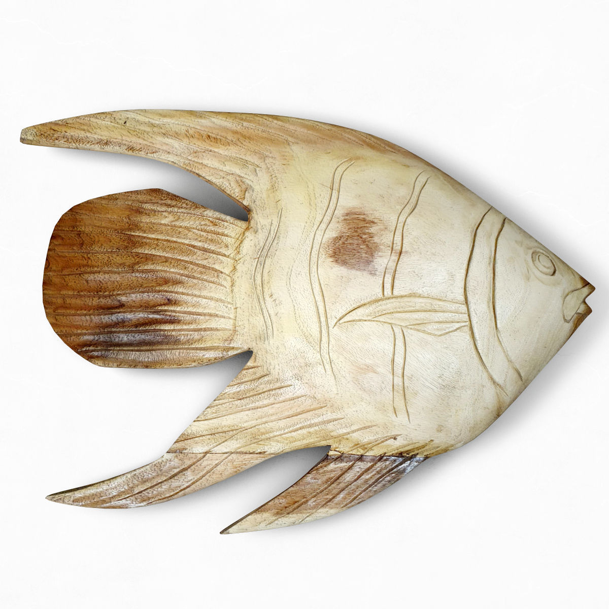 Wall Relief Fish 3D model_1