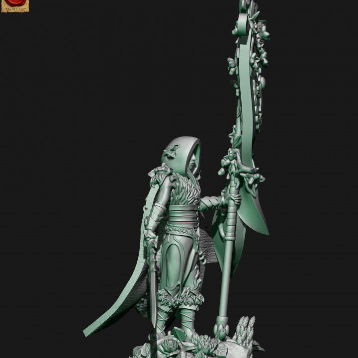Wood elves battle standart bearer 3D print model_2