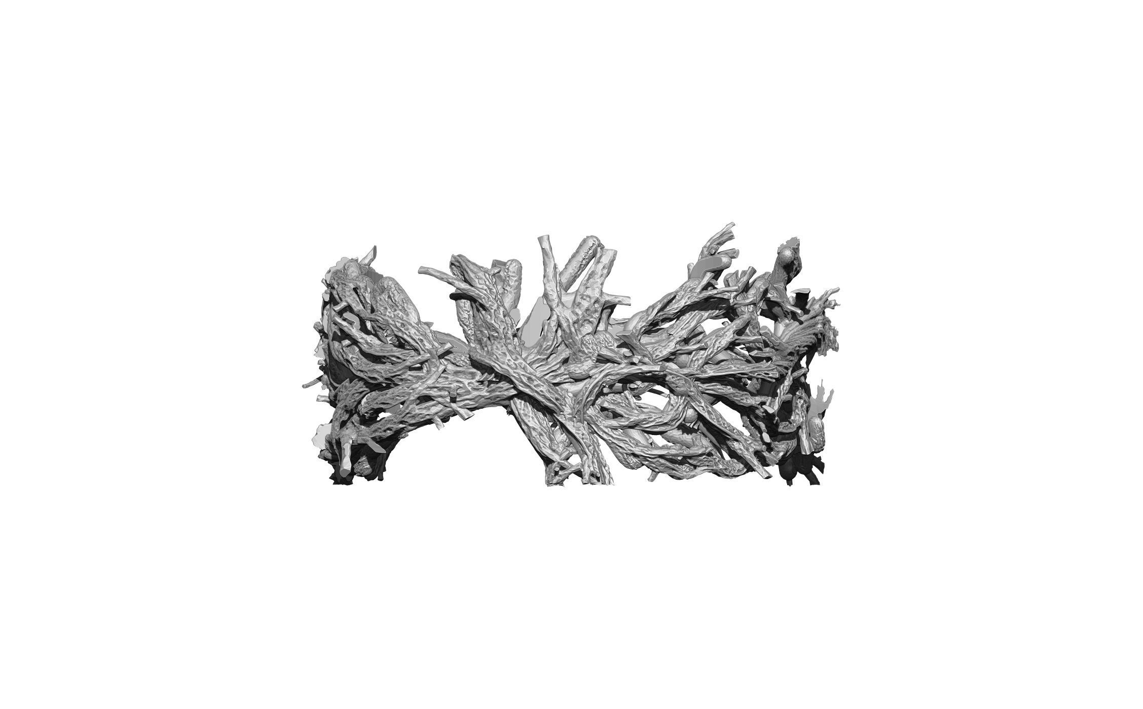 Tree forest ring 3D print model_1