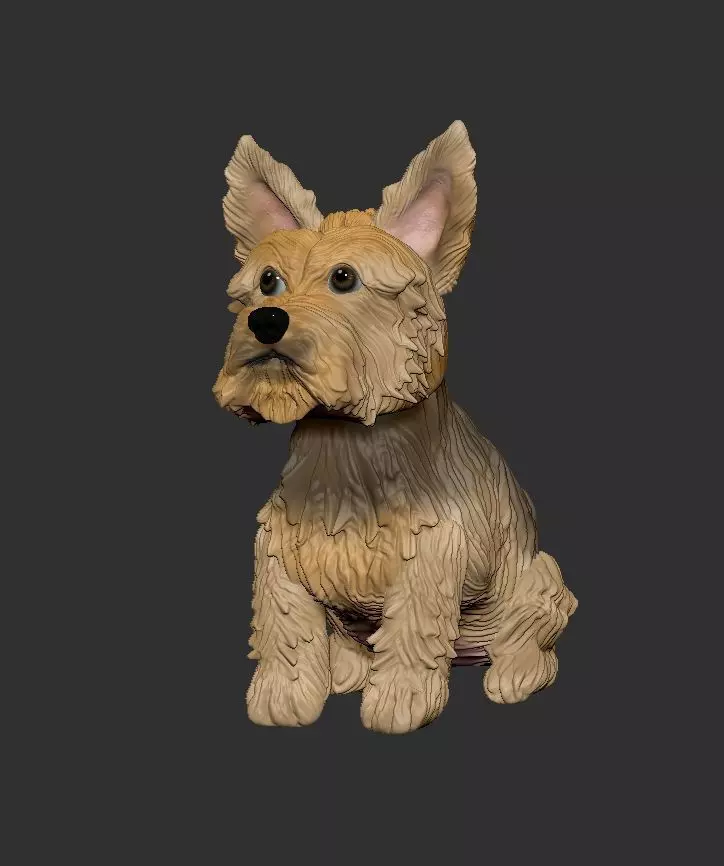 YorkShire terrier 3D print model_0