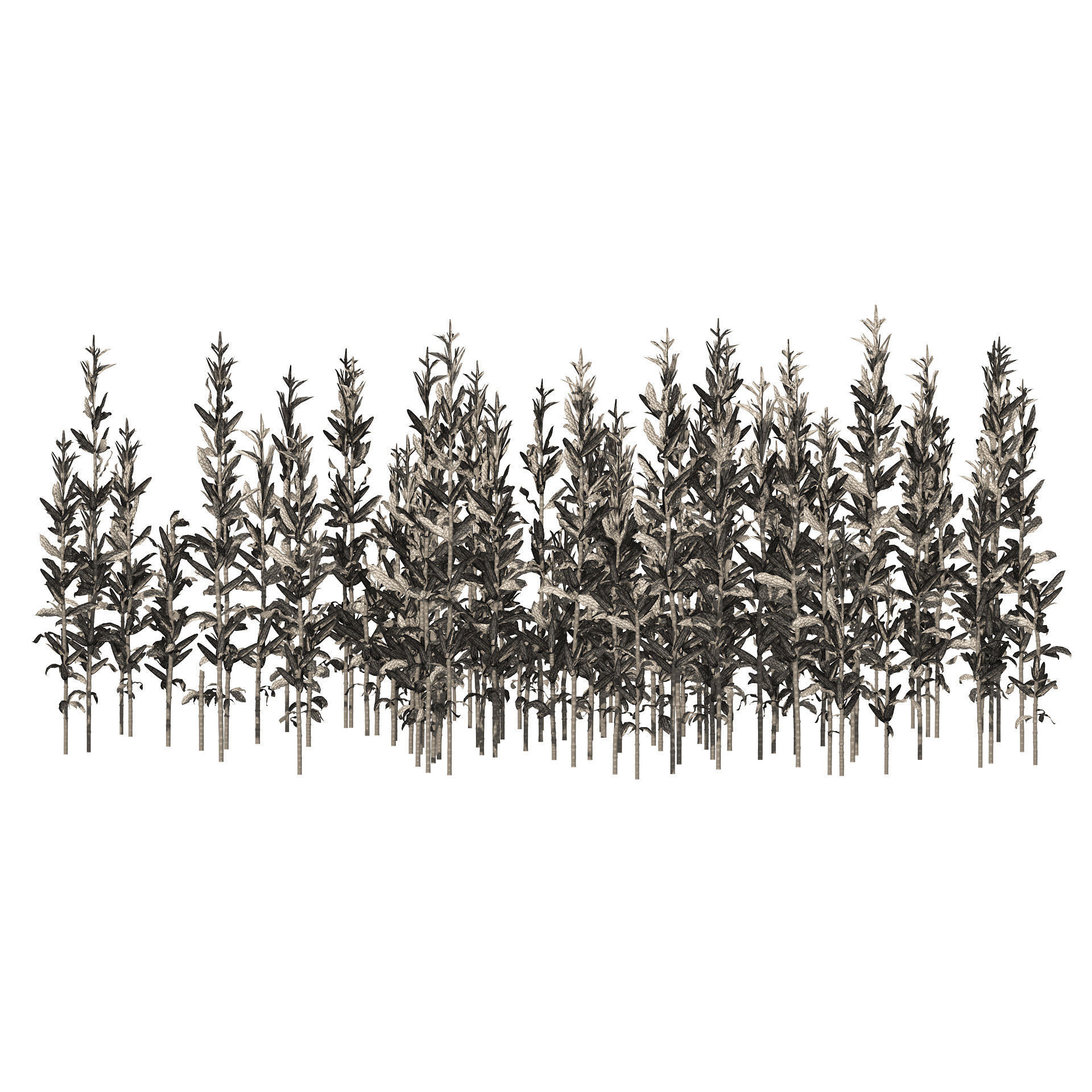 Corn cluster Low-poly 3D model_5