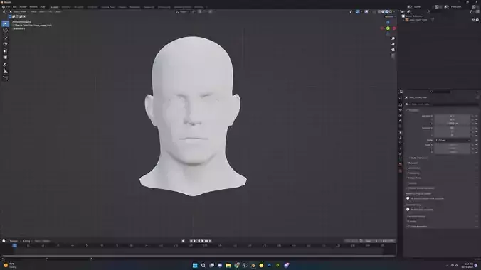 Male Head Base Mesh