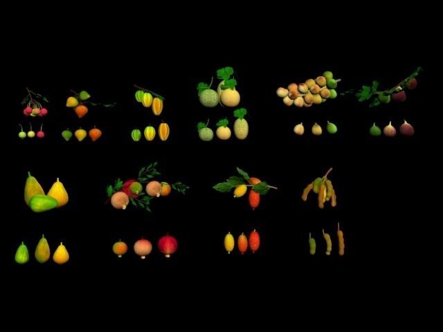 Collection Fruit Path5 Low-poly 3D model_1