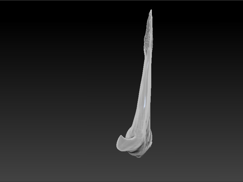 Dolphin necklace 3D print model_5