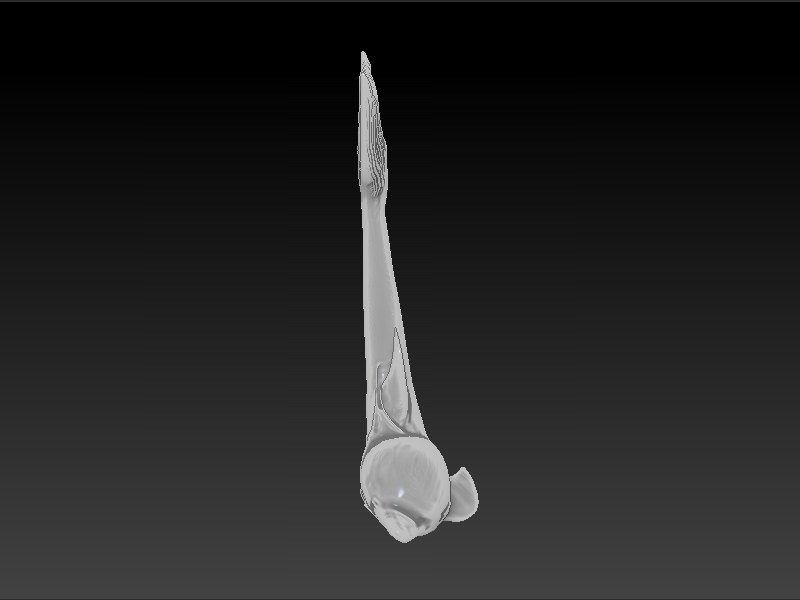 Dolphin necklace 3D print model_3