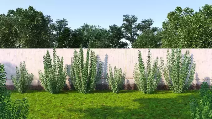 Wind Tree009 Animation