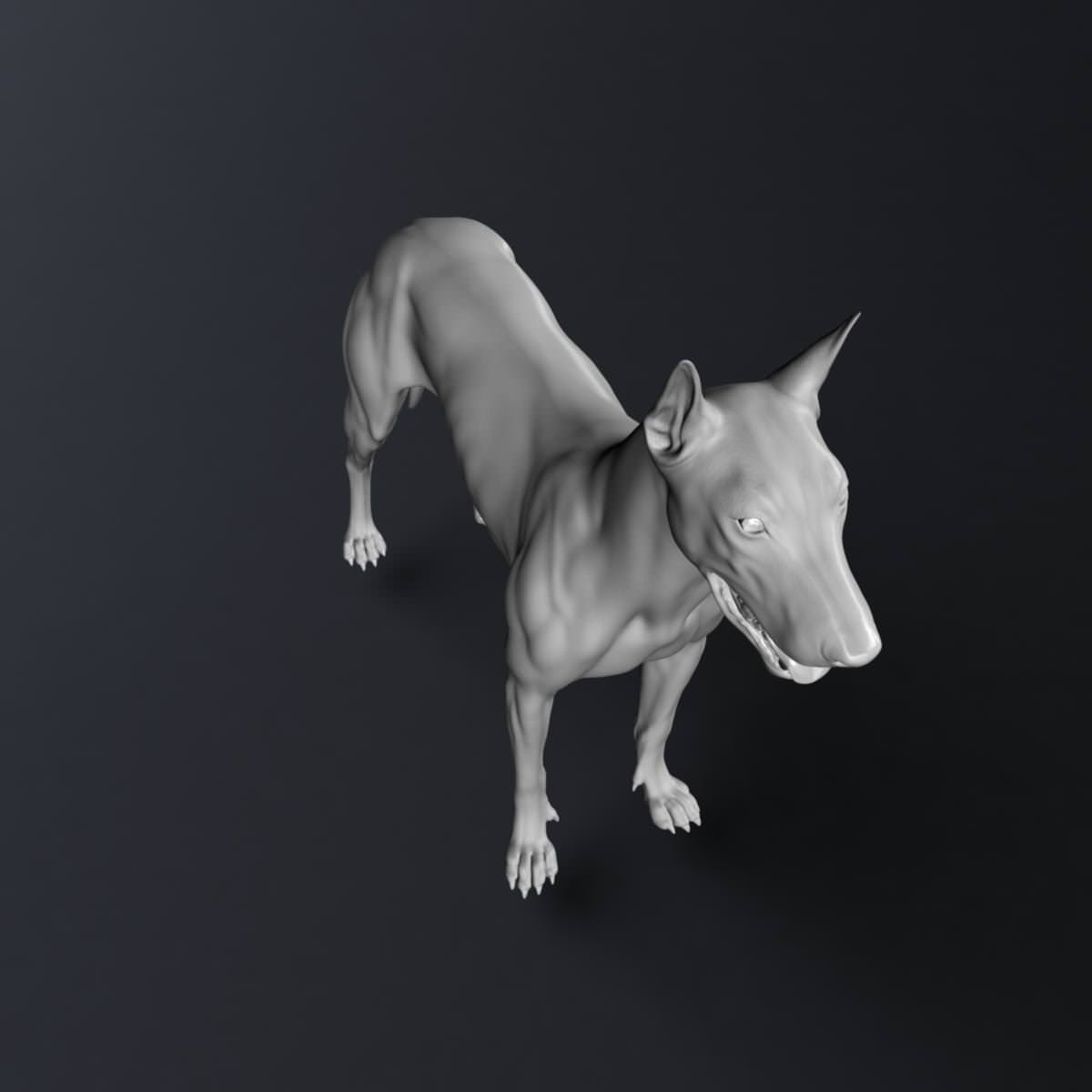 Doberman Model 3D model_9